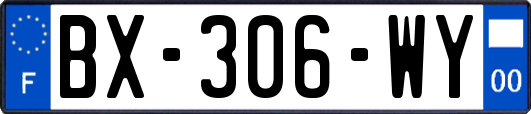 BX-306-WY