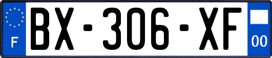 BX-306-XF