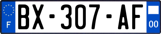 BX-307-AF