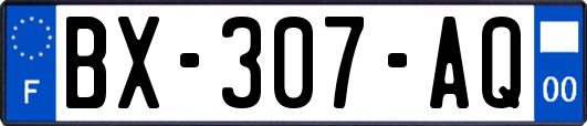 BX-307-AQ