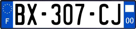 BX-307-CJ