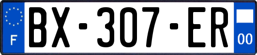 BX-307-ER