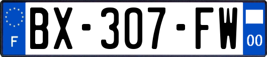 BX-307-FW