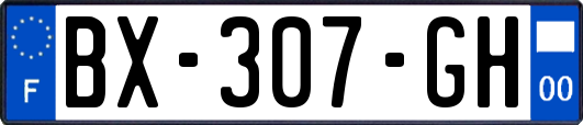 BX-307-GH