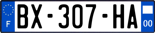 BX-307-HA