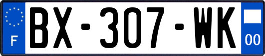 BX-307-WK