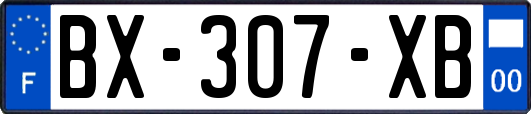 BX-307-XB