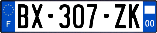 BX-307-ZK