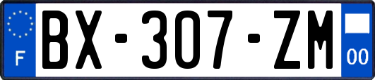 BX-307-ZM