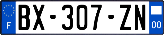 BX-307-ZN