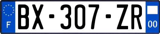 BX-307-ZR