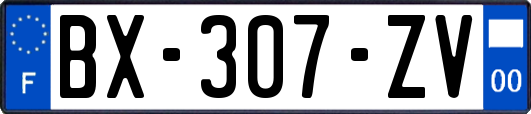 BX-307-ZV