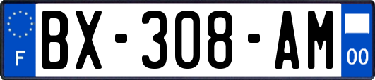 BX-308-AM