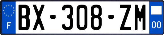 BX-308-ZM