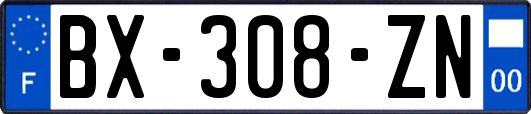 BX-308-ZN