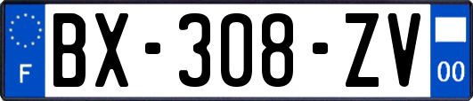 BX-308-ZV