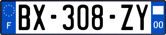 BX-308-ZY