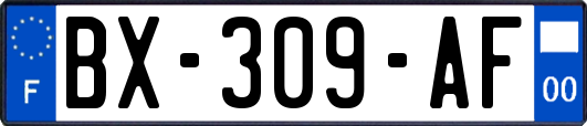 BX-309-AF