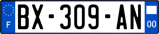 BX-309-AN