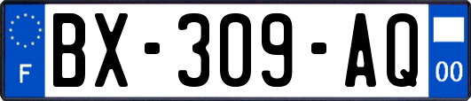 BX-309-AQ