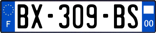 BX-309-BS