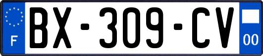 BX-309-CV