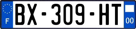 BX-309-HT