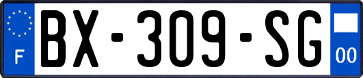 BX-309-SG