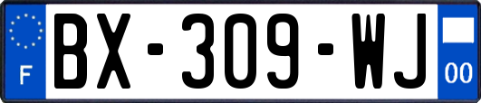 BX-309-WJ