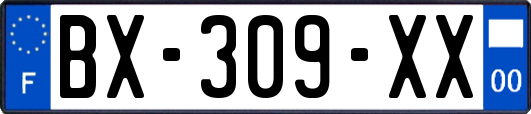 BX-309-XX