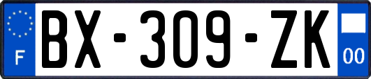 BX-309-ZK