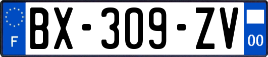 BX-309-ZV