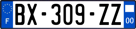 BX-309-ZZ