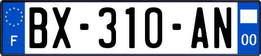 BX-310-AN