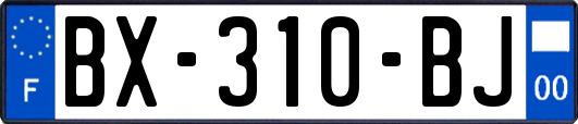 BX-310-BJ