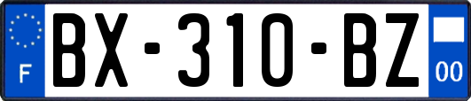 BX-310-BZ