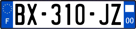 BX-310-JZ