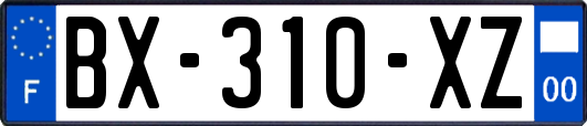 BX-310-XZ