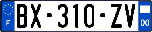 BX-310-ZV
