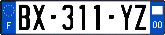 BX-311-YZ