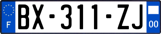 BX-311-ZJ