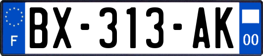 BX-313-AK