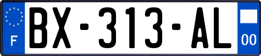 BX-313-AL