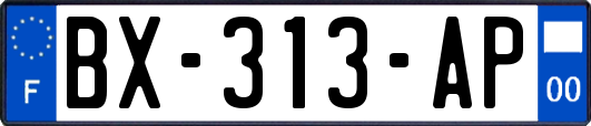 BX-313-AP