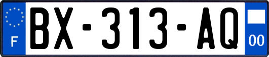 BX-313-AQ