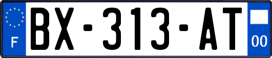 BX-313-AT