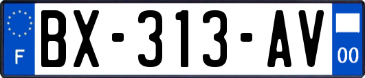 BX-313-AV