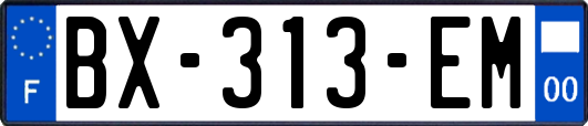 BX-313-EM