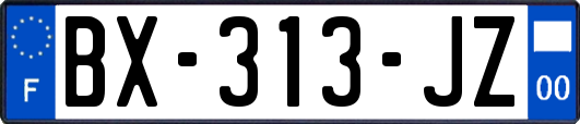 BX-313-JZ