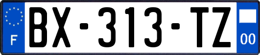 BX-313-TZ